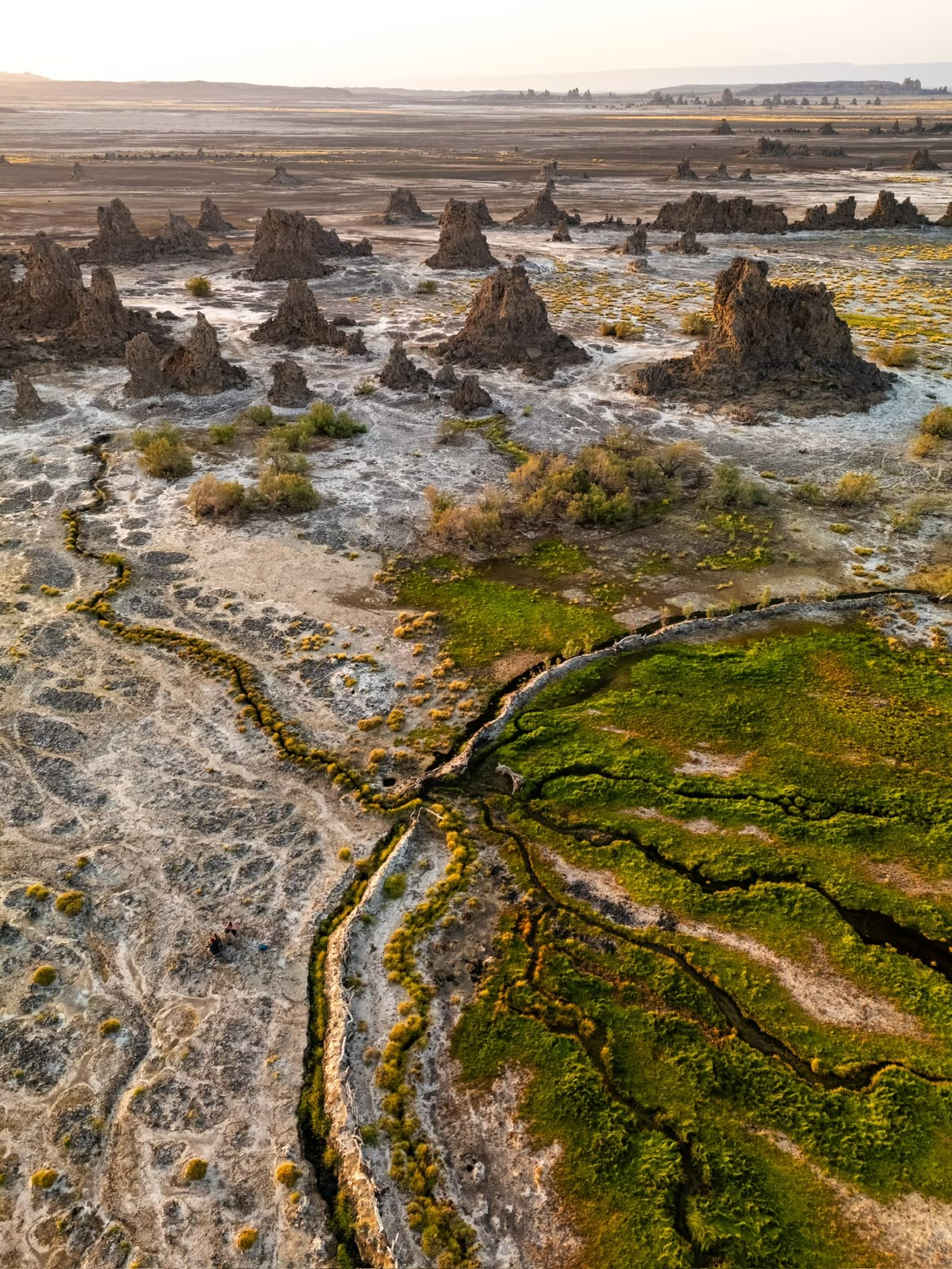Expédition Lac Abbé & Lac Assal - Gallery 2
