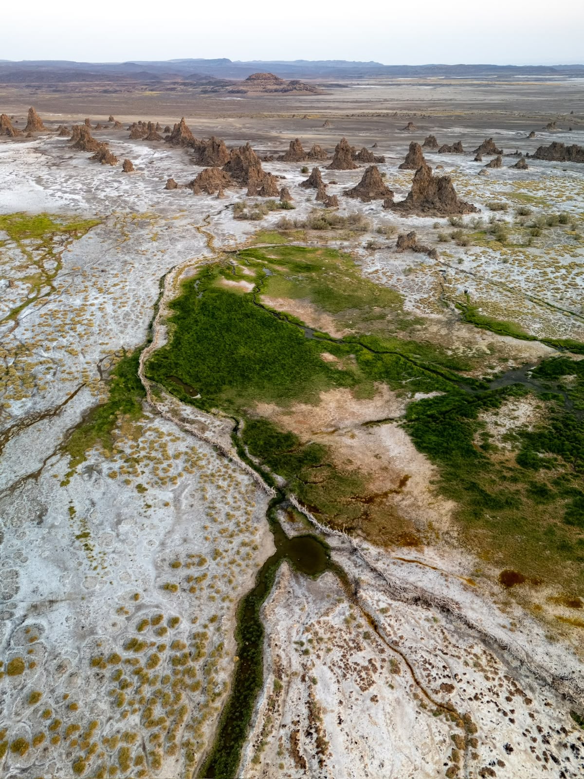 Expédition Lac Abbé & Lac Assal - Gallery 3