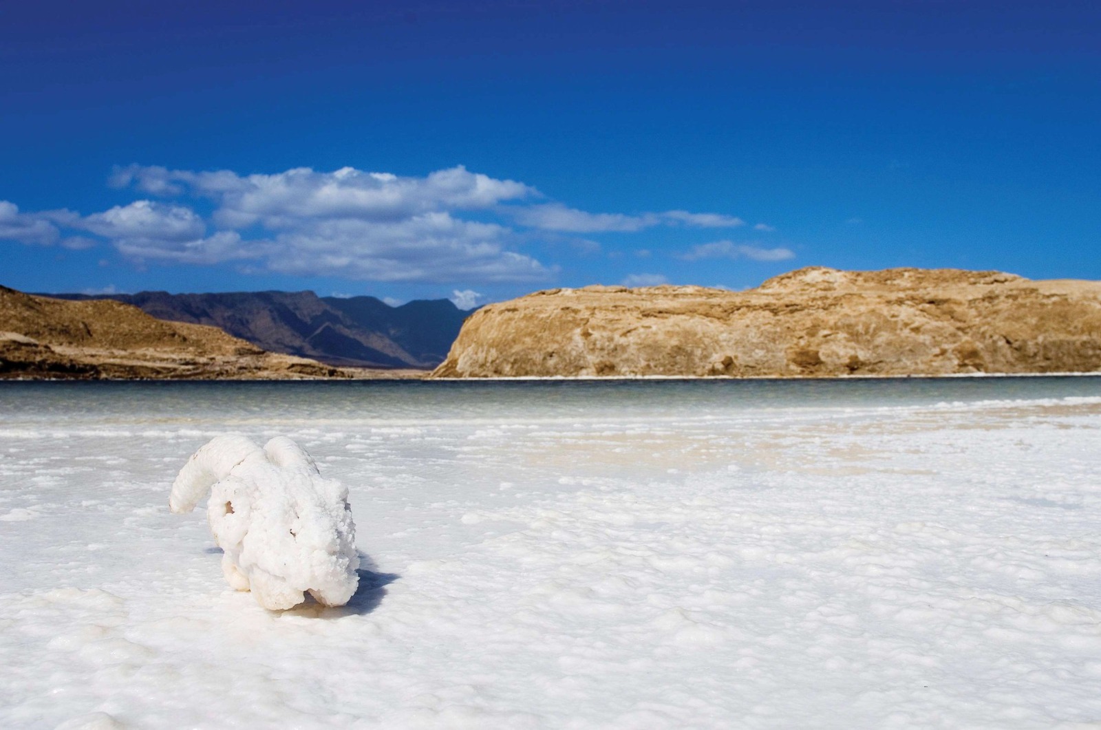 Djibouti, Lac Abbé & Lac Assal Tour - Gallery 2